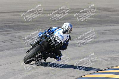 media/Feb-04-2024-SoCal Trackdays (Sun) [[91d6515b1d]]/4-Bowl Backside (11am)/